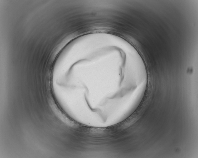 X0000110770859200907131232