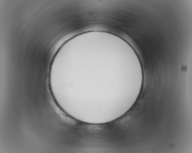 X0000110770861200907131232