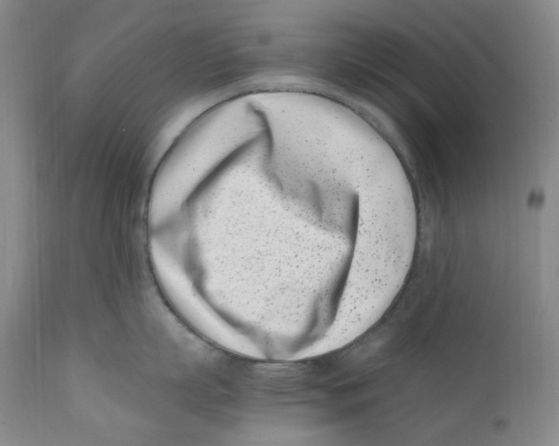 X0000110770863200907131232