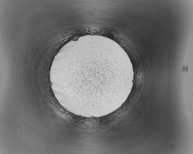 X0000110770865200907131231