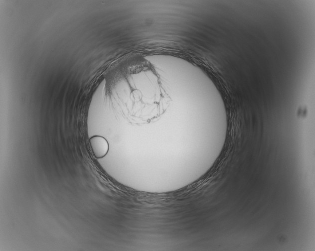 X0000110770868200907131231