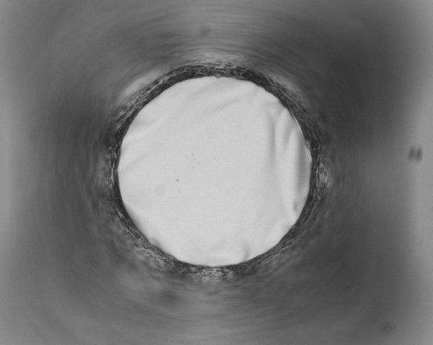 X0000110770869200907131231