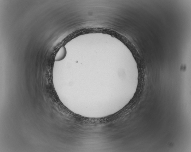 X0000110770871200907131231