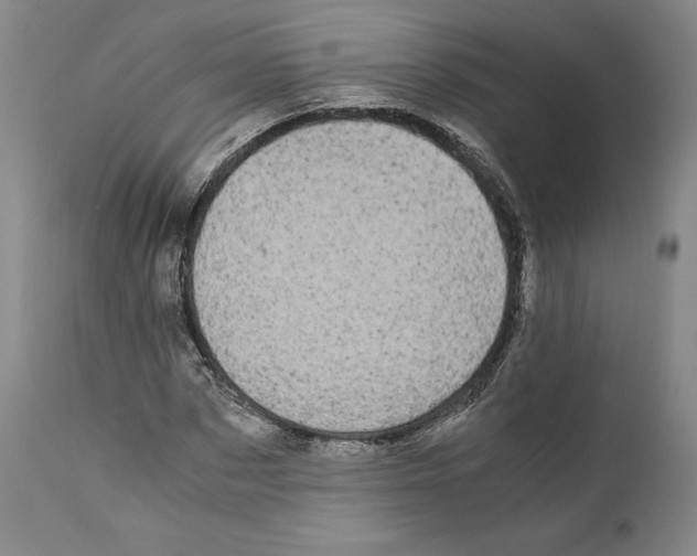 X0000110770873200907131231