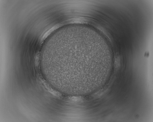 X0000110770874200907131231