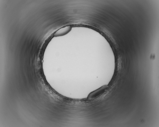 X0000110770876200907131231