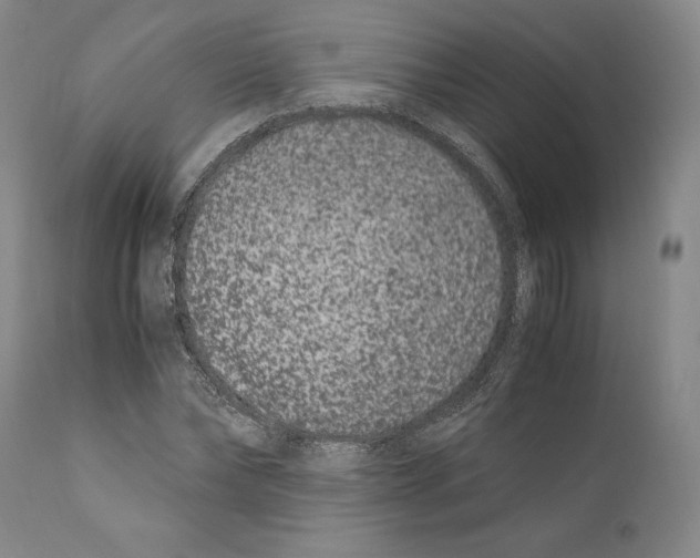 X0000110770878200907131231