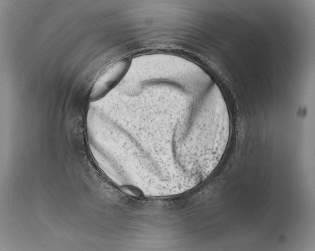 X0000110770881200907131231