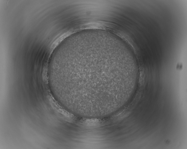 X0000110770882200907131231