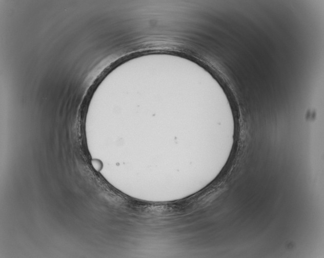 X0000110770883200907131231