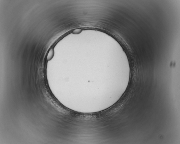 X0000110770884200907131231