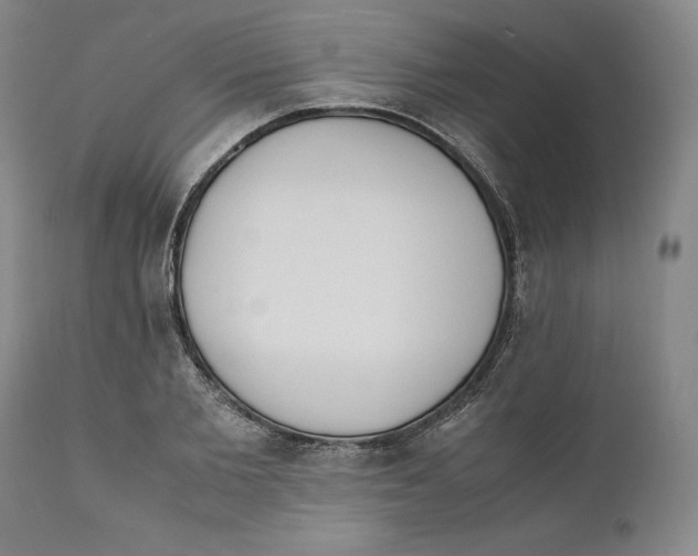 X0000110770885200907131231