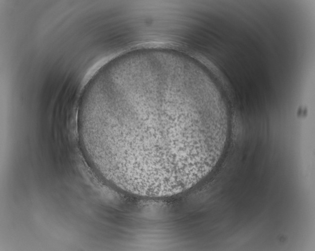 X0000110770886200907131231