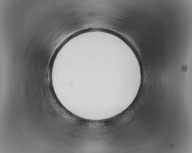 X0000110770887200907131231