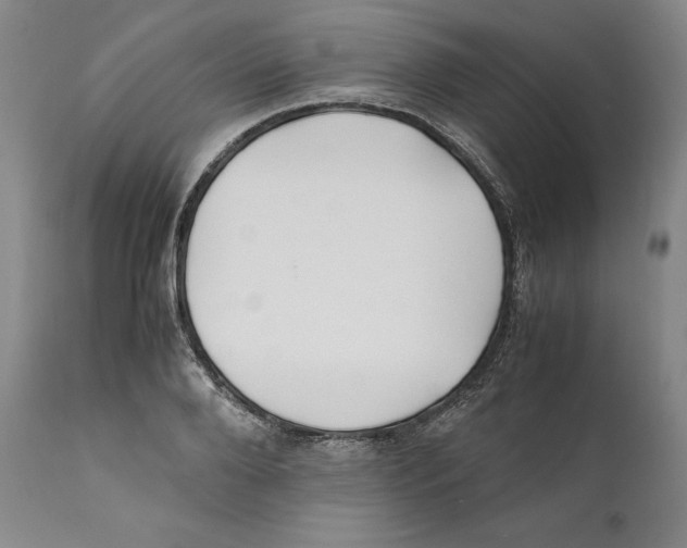 X0000110770888200907131231