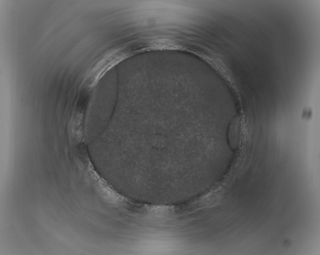 X0000110770889200907131231