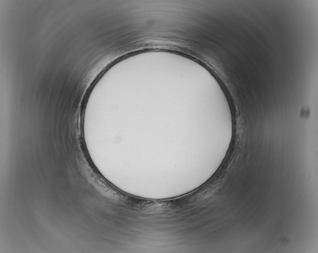 X0000110770891200907131231