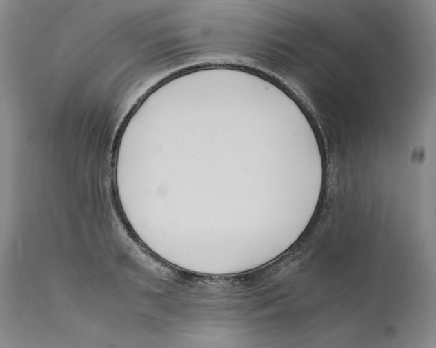 X0000110770895200907131231