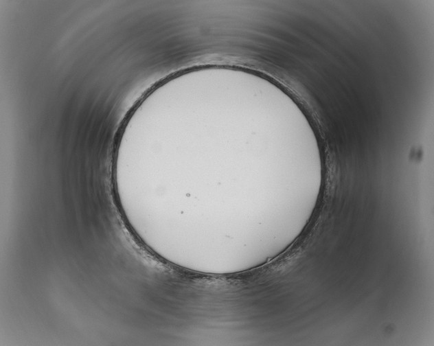 X0000110770896200907131231