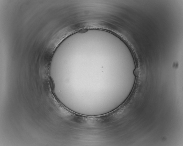 X0000110770897200907131231