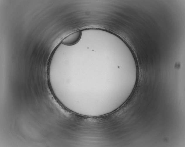 X0000110770898200907131231