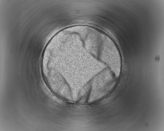 X0000110770899200907131231