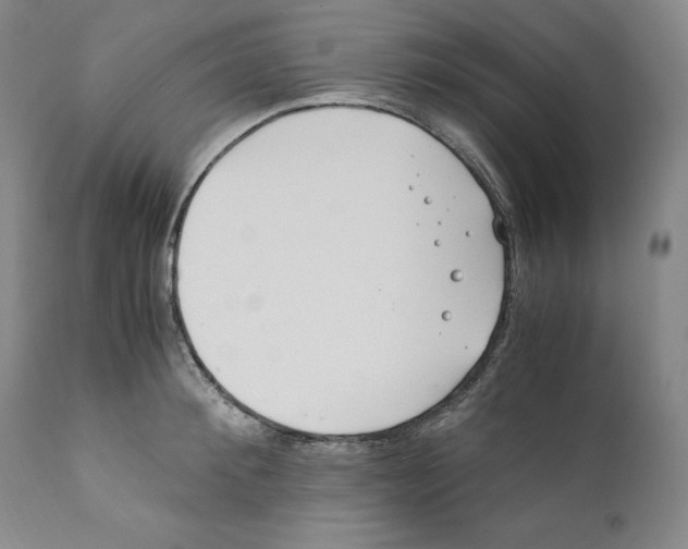 X0000110770900200907131231