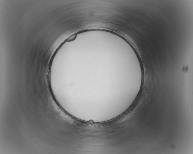 X0000110770901200907131231