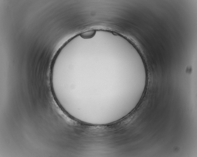 X0000110770902200907131231