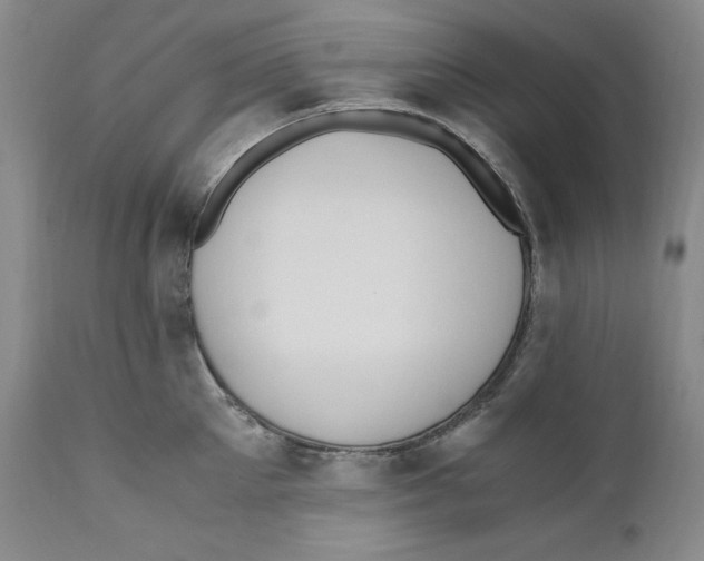 X0000110770905200907131231