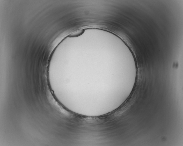 X0000110770906200907131231