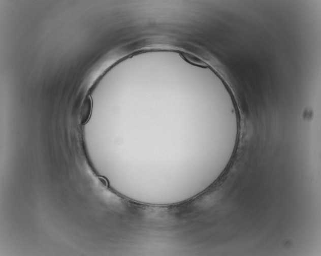 X0000110770909200907131231