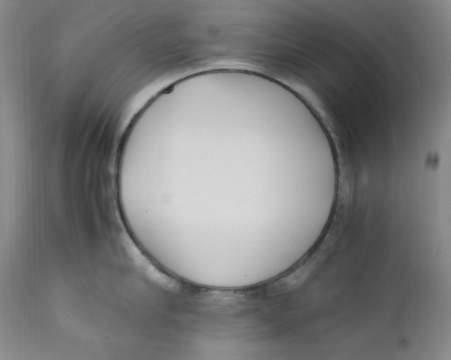 X0000110770910200907131231