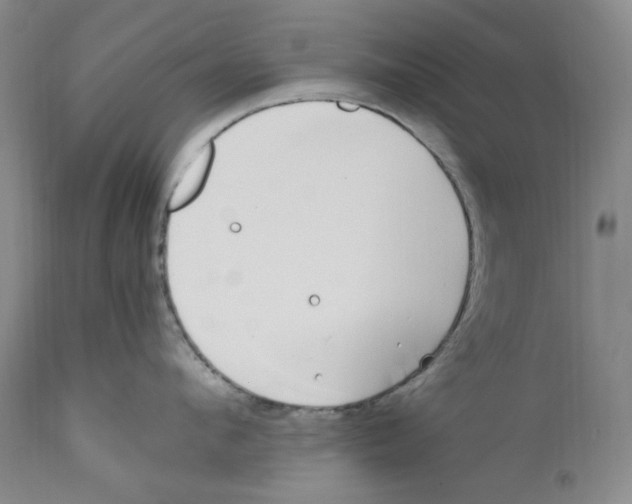 X0000110770912200907131231