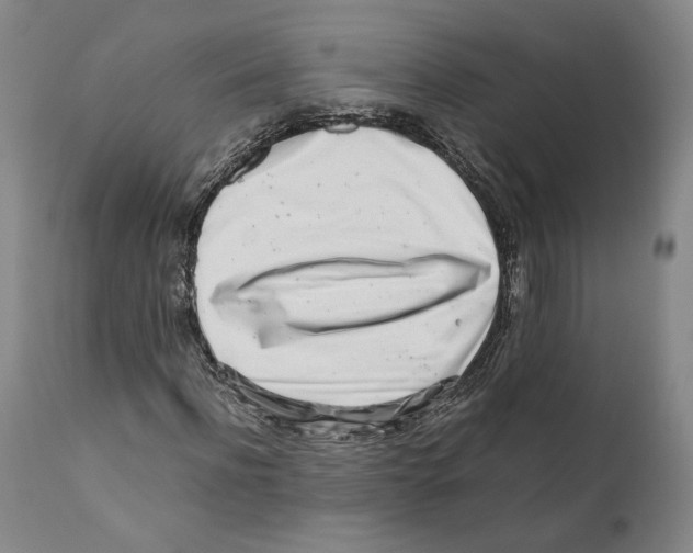 X0000110770916200907131230