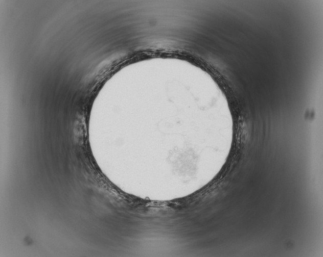 X0000110770918200907131230