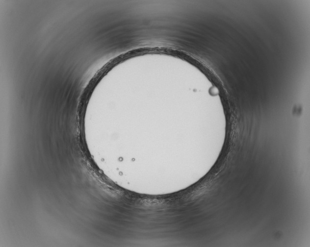 X0000110770927200907131230