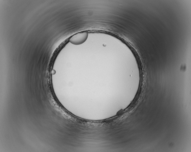 X0000110770928200907131230