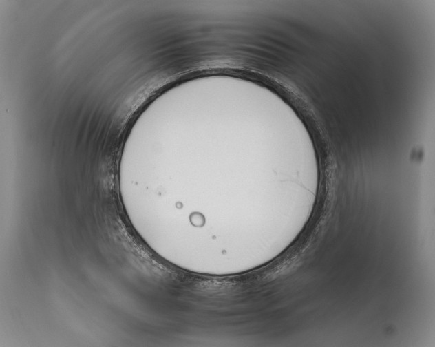 X0000110770929200907131230