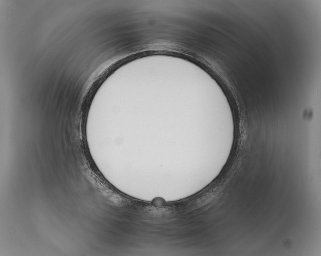 X0000110770931200907131230