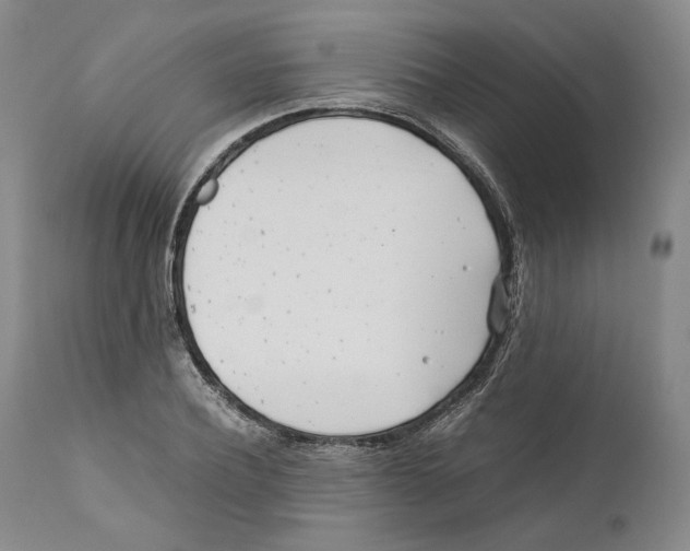 X0000110770932200907131230