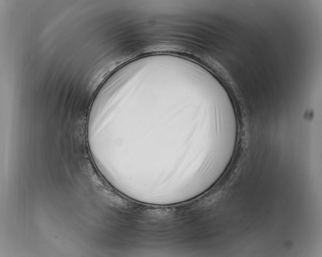 X0000110770937200907131230