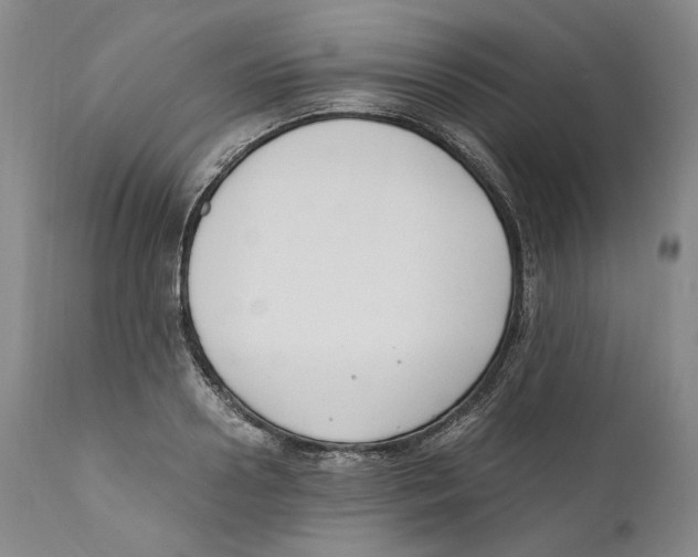 X0000110770938200907131230