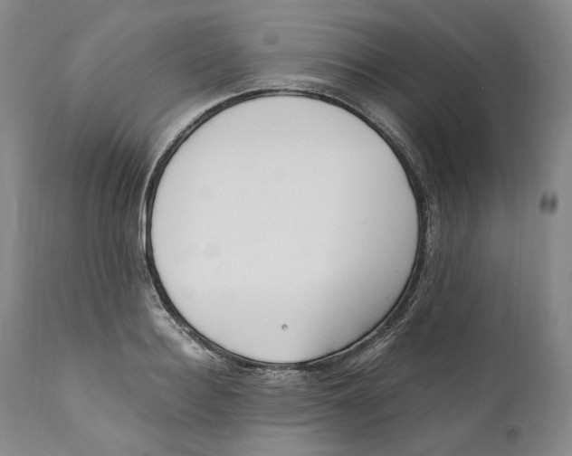 X0000110770940200907131230