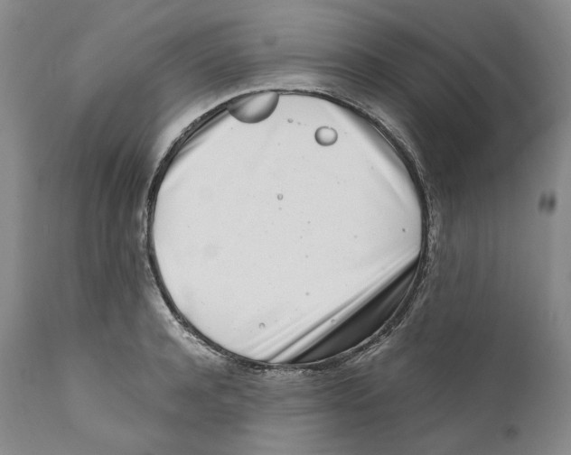 X0000110770944200907131231