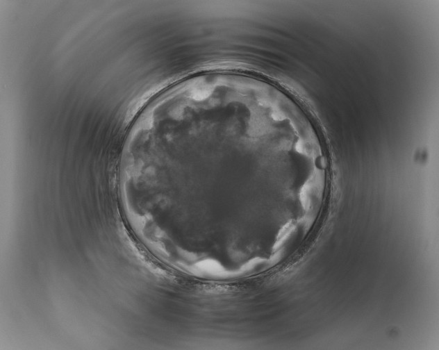 X0000110770945200907131231