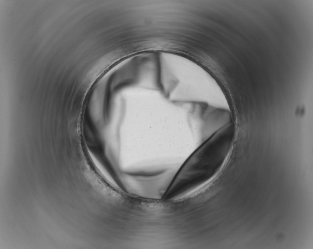 X0000110770946200907131231