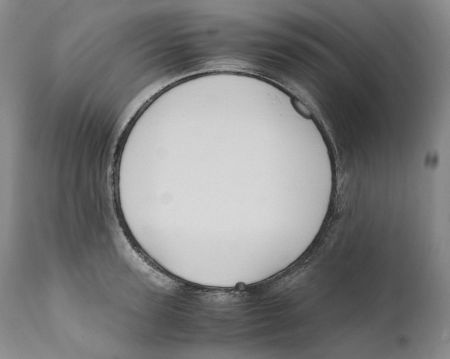 X0000110770947200907131231