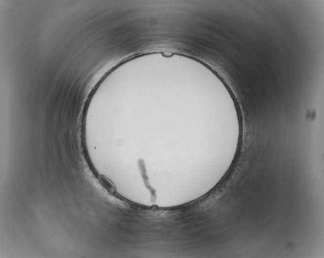 X0000110770949200907131231