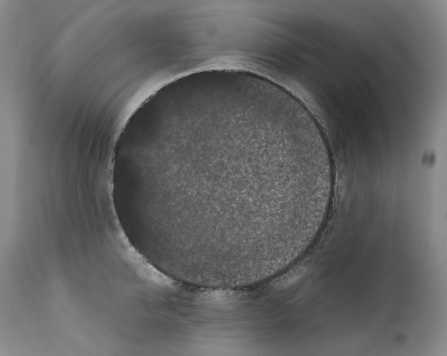 X0000110770950200907131231